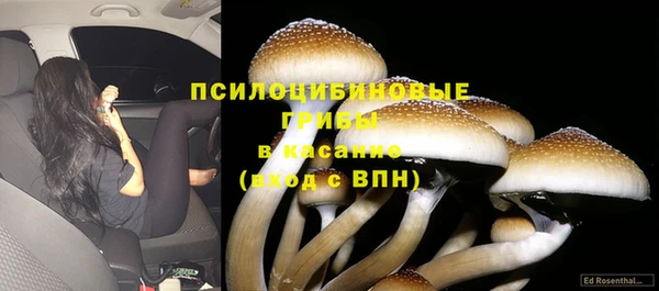 ПСИЛОЦИБИНОВЫЕ ГРИБЫ Аркадак