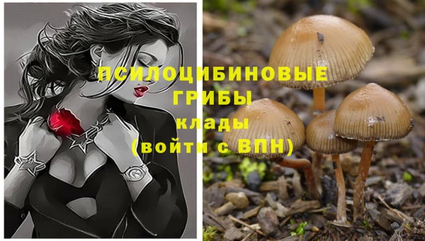 спайс Армянск