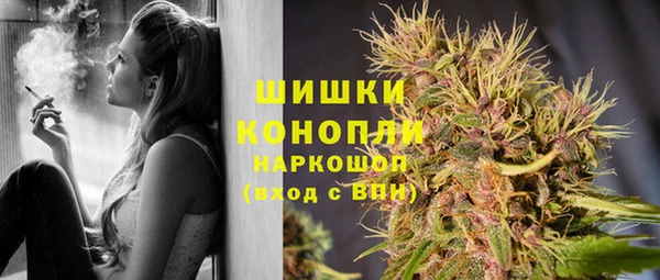 ПСИЛОЦИБИНОВЫЕ ГРИБЫ Аркадак