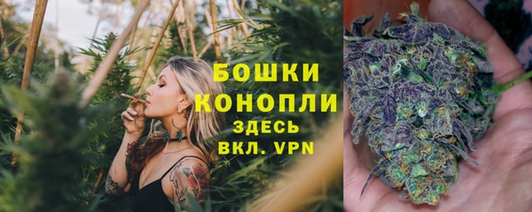ПСИЛОЦИБИНОВЫЕ ГРИБЫ Аркадак