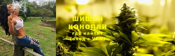 ПСИЛОЦИБИНОВЫЕ ГРИБЫ Аркадак